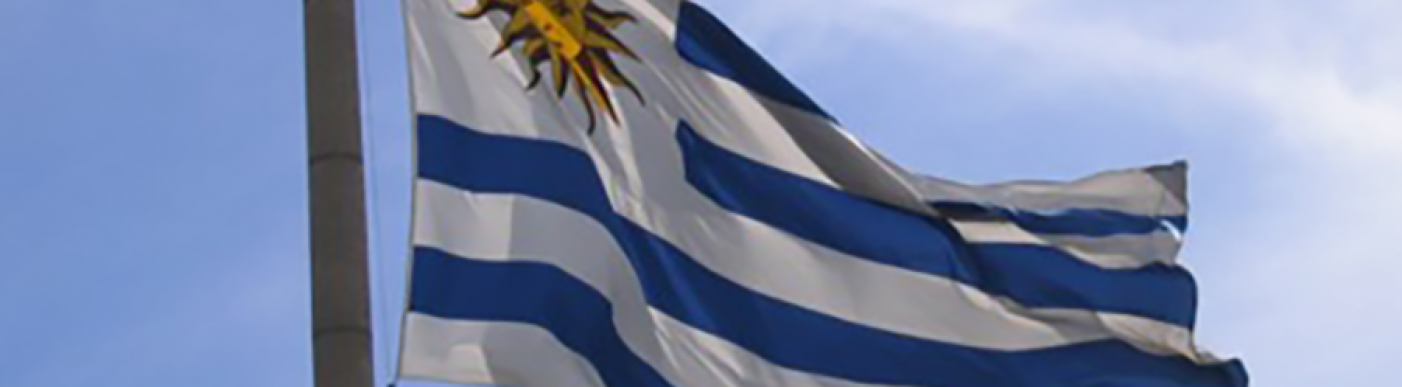 Flag_of_Uruguay_Montevideo