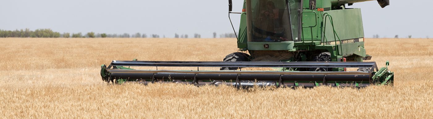 NSW harvesting wheat crop