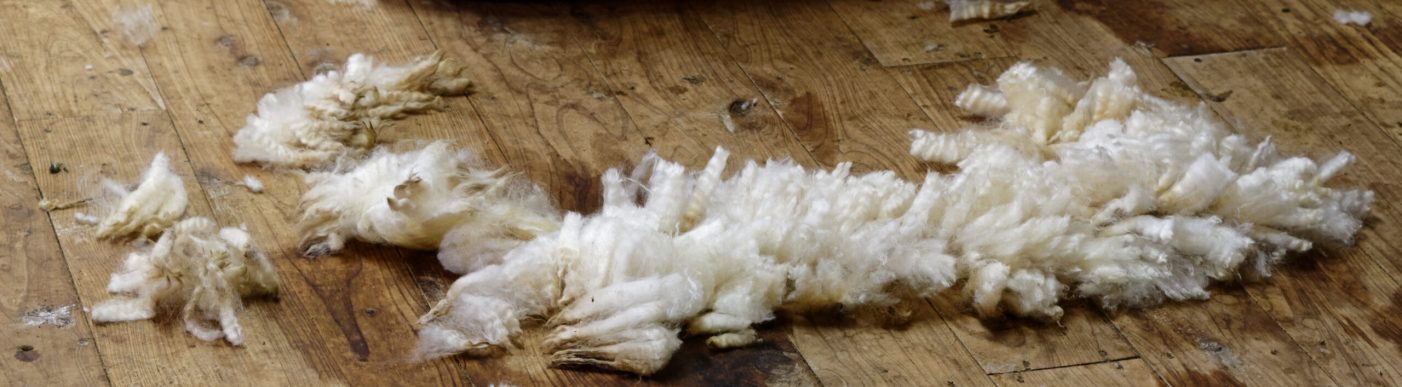 Some,Bits,Of,Fleece,Sit,On,The,Shearing,Shed,Floor