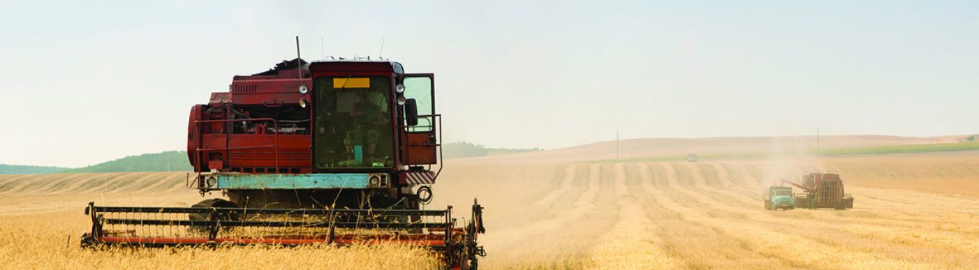 grain harvester combine work in field_shutterstock_75432658
