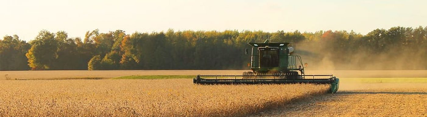 Soybean harvest in the US