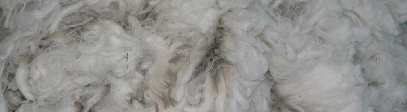 Wool fleece
